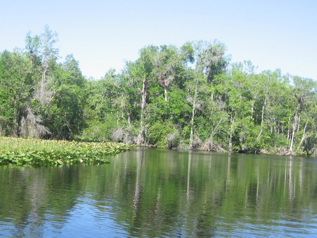 Ocklawaha River by keiiwwii