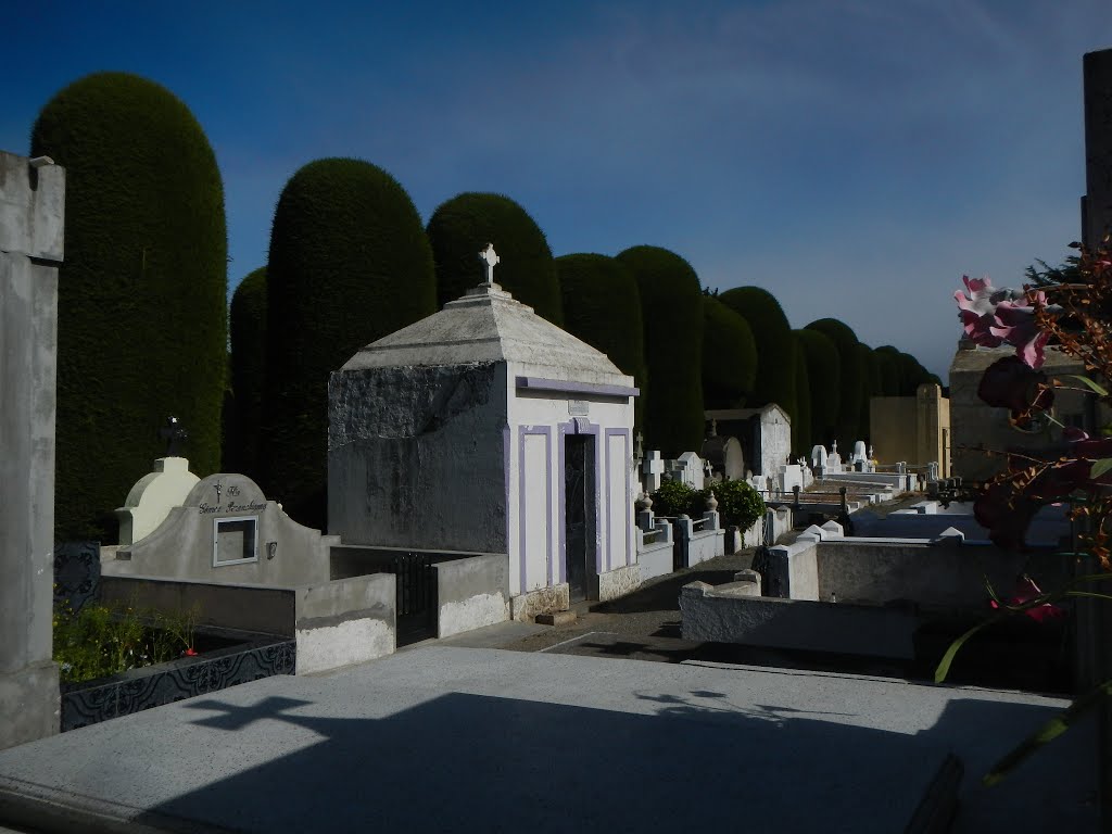 Cementerio Municipal de Punta Arenas by Juan Francisco Bustos