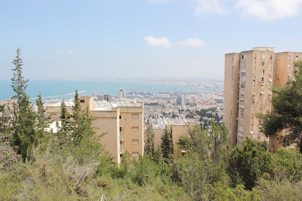 Looking down the hill in Haifa by Genet