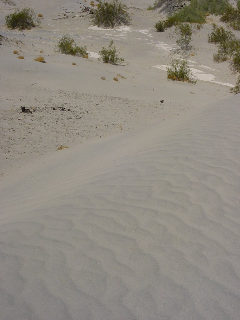 Death Valley - Sand Dunes by Polylux