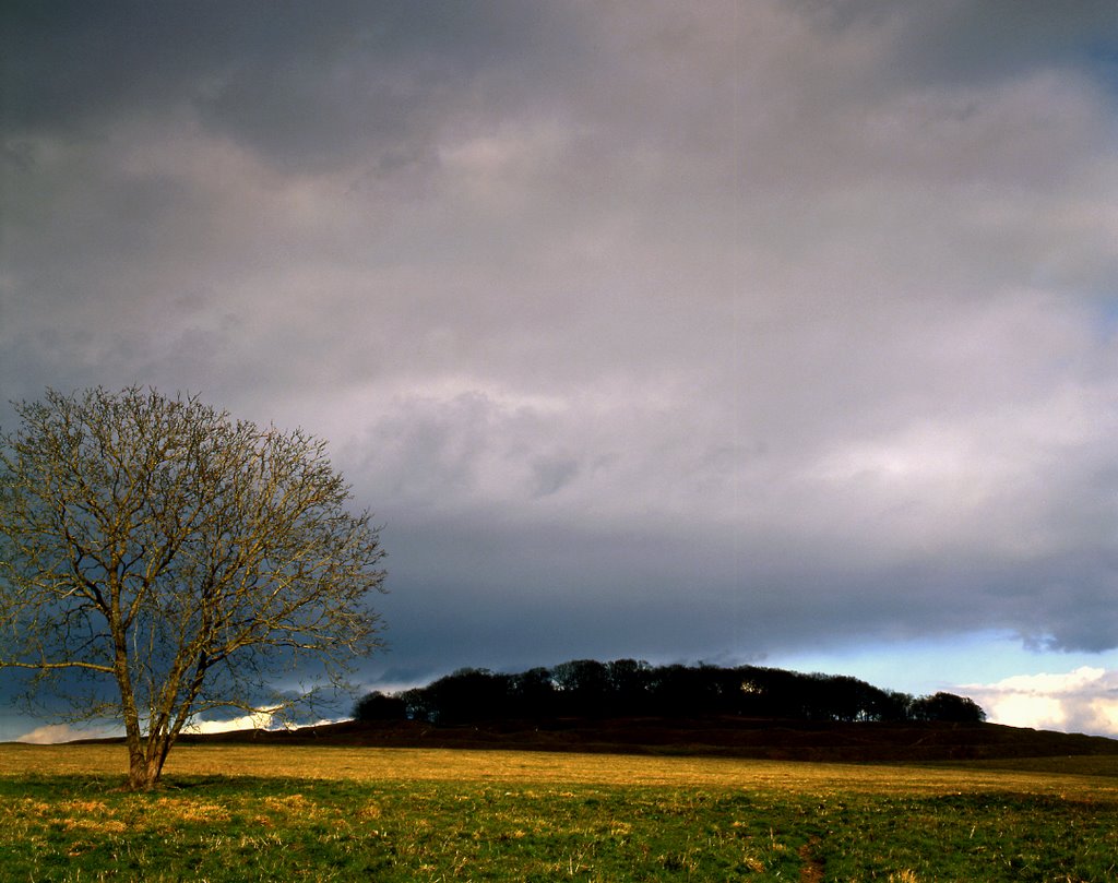 Badbury Rings by Graham Hobbs