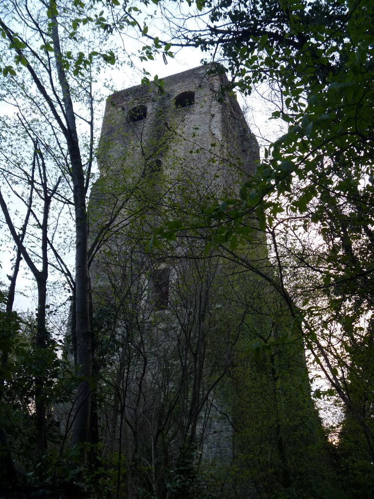 La Torre del Castello di Collalto ( sec. XI° ) vista dal sentiero by Giampietro Pasqualini