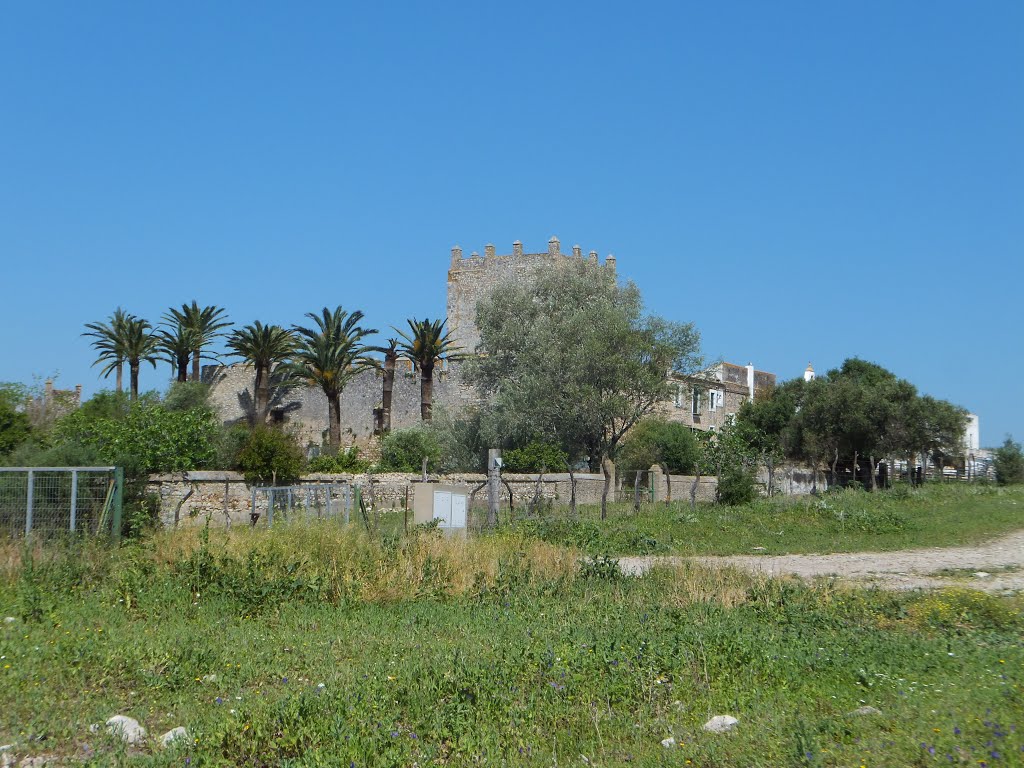 Castillo de Gigonza by juanito