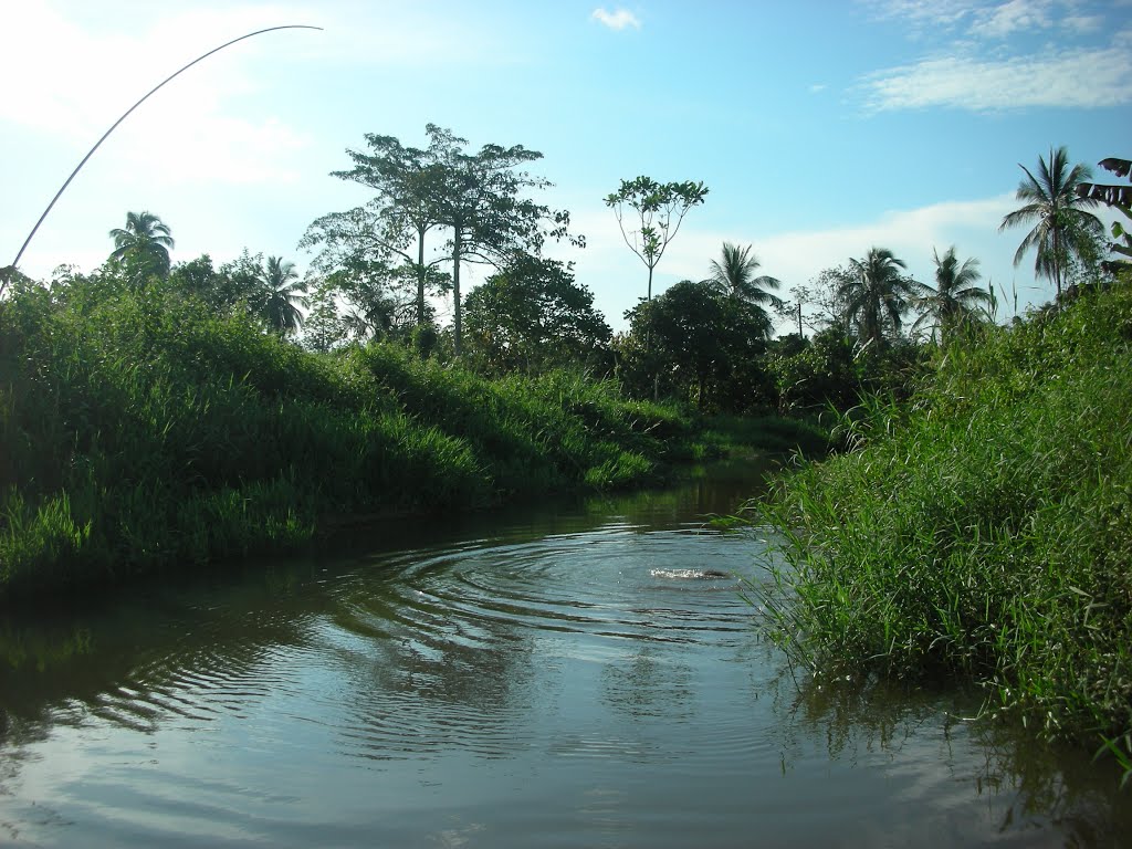 Cameroun - Kumba - River fishing - Who won? read my comment! - Nov 12 by Filippo Aragone