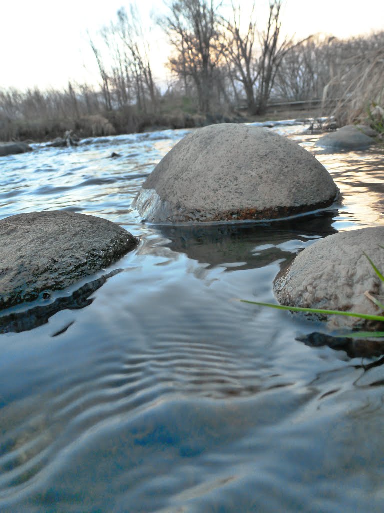 Clear Creek Trail Spring by Chris Heaton