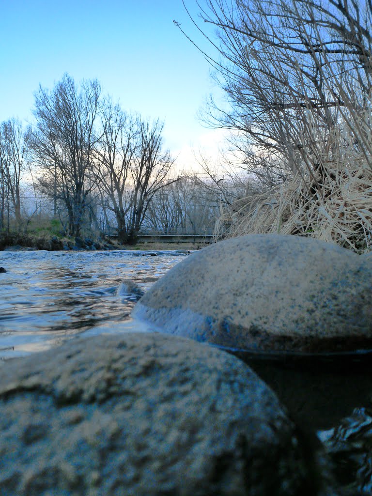 Clear Creek Trail Spring by Chris Heaton