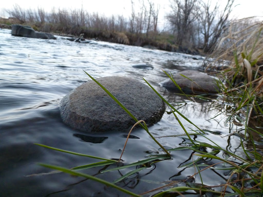 Clear Creek Trail Spring by Chris Heaton