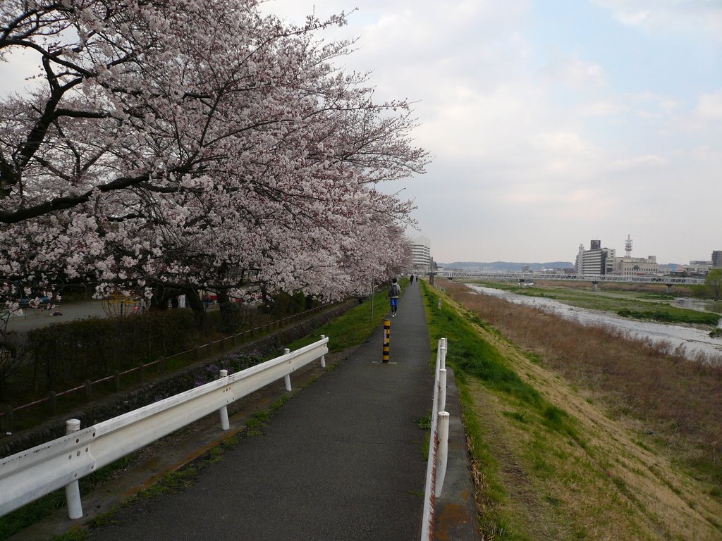 元横山公園3 by jupiter6062