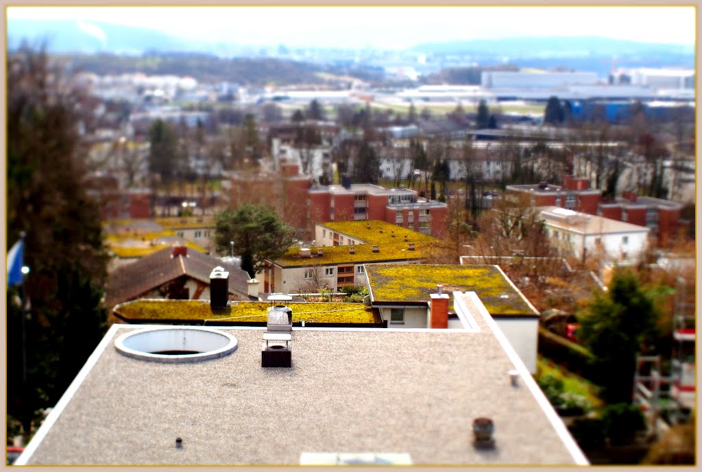 Aussicht 21.3.2013 real tiltshift by schilf