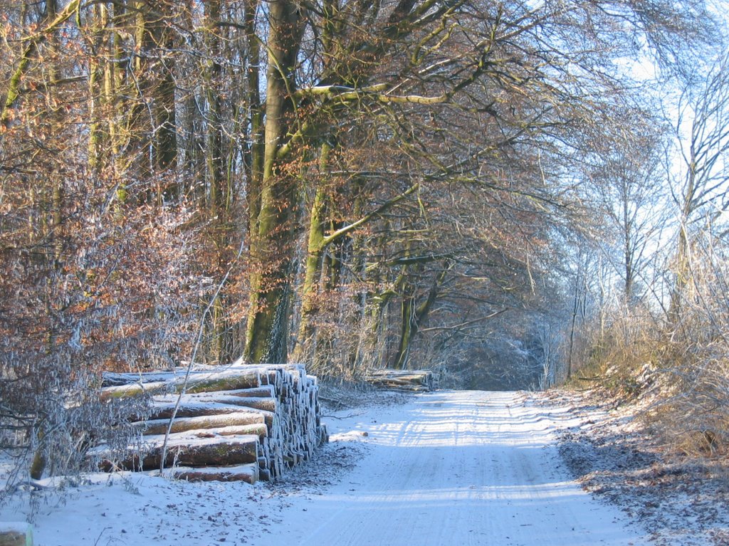 Baumberge, Weg zwischen Bruder Klaus Kapelle und Gasths. Waldfrieden by Winfried Thiemann