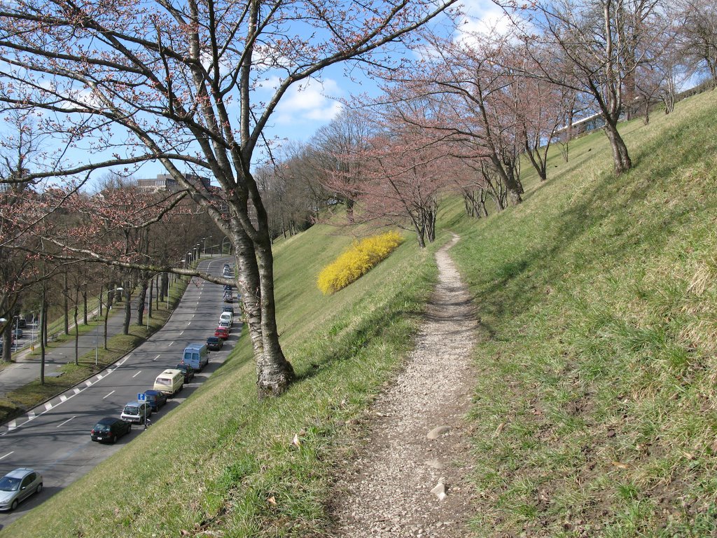 Frühlingserwachen Aaragauerstalden by Harri Hofer