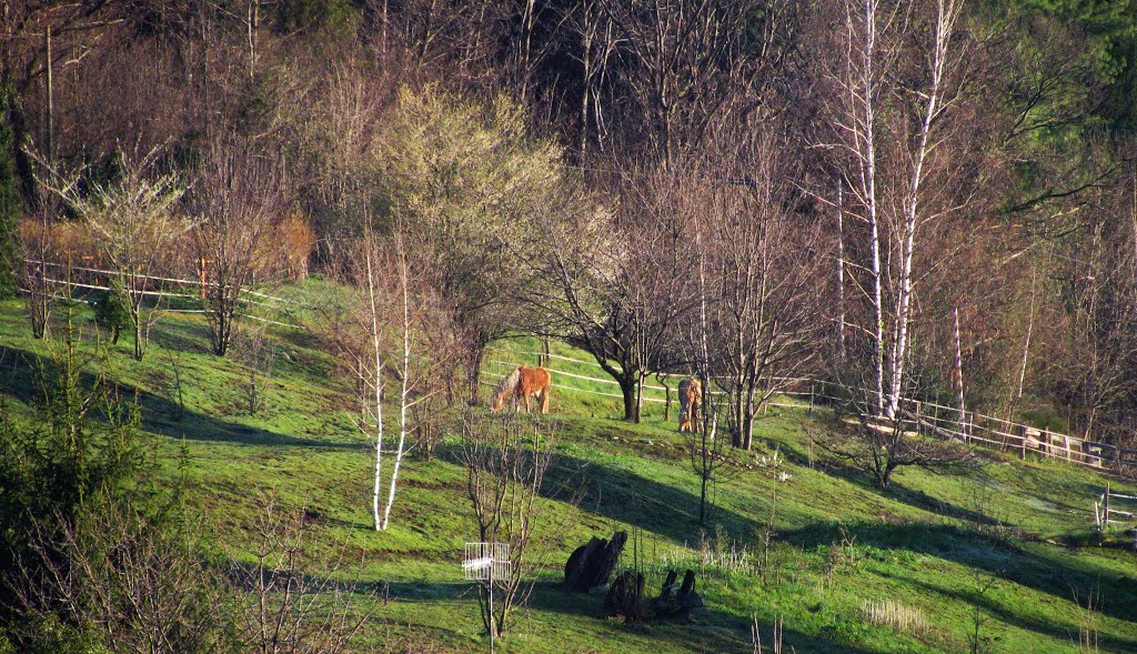 Liberi al sole del mattino, Casale Coprte Cerro, 10-04-2013 by Marco Carnelli