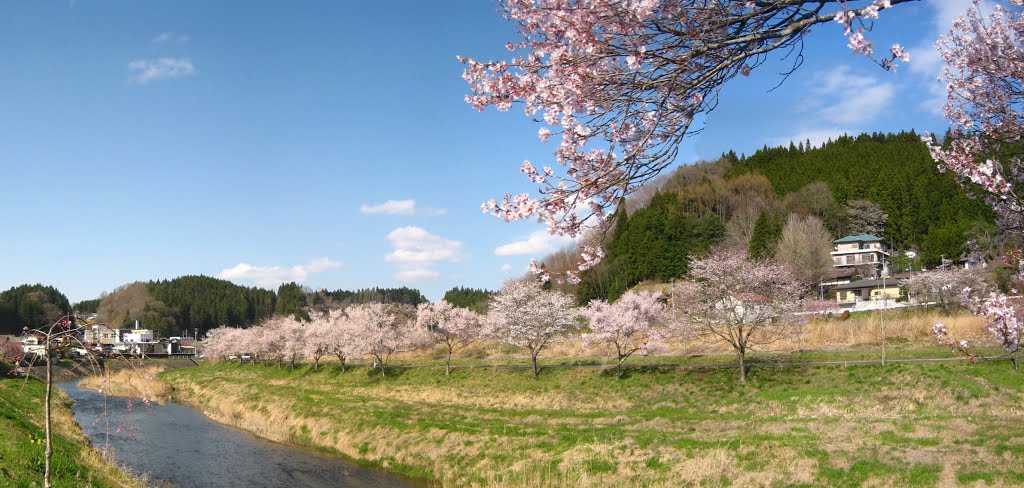 八重桜はこれから - Double cherry blossom bloom soon by addh Save Panoramio