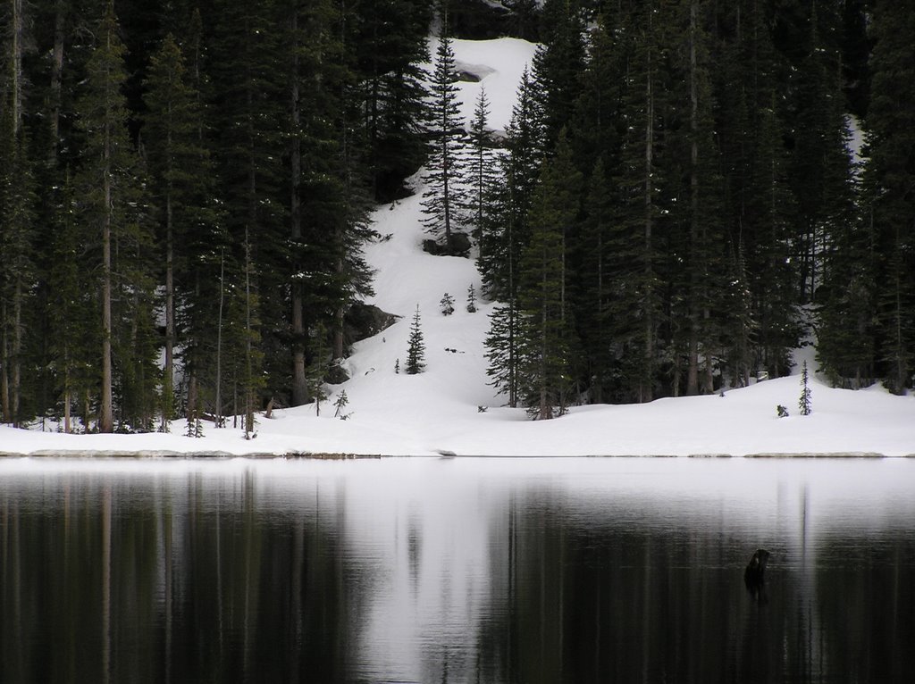 Fern lake by idokazaz