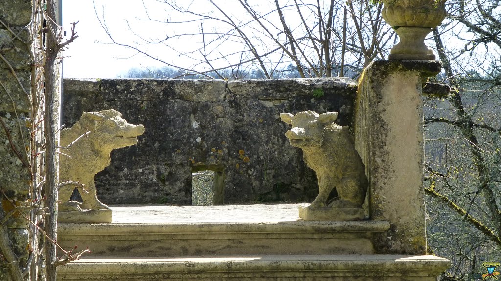 Les 2 sangliers du hameau de Souleillat by Dudu DuLimousin