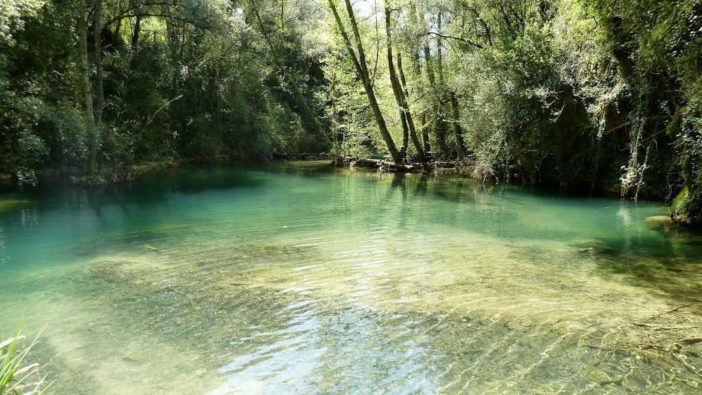 Aigües del Molí dels Murris. Cogolls by Eulalia Garreta