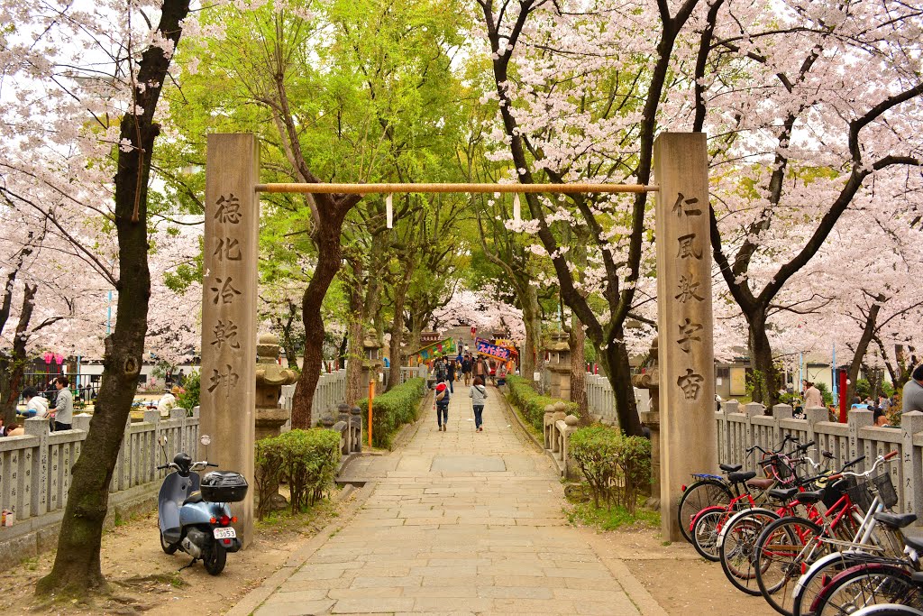 高津宮　参道　Kozu shinto shrine by nkmroioikkkz