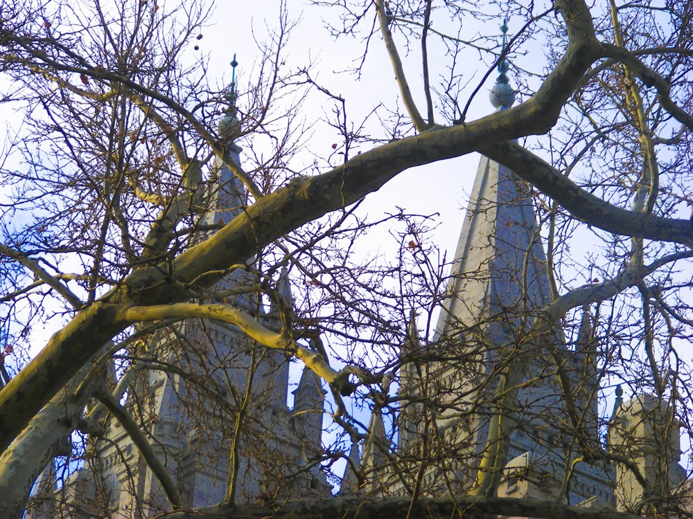 Temple Spires & Trees 2008 by babssteele