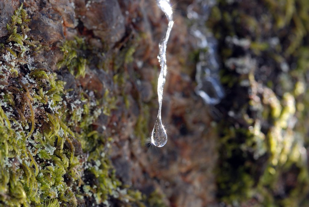 Melting Ice at Vora by Frederik van der Vee…