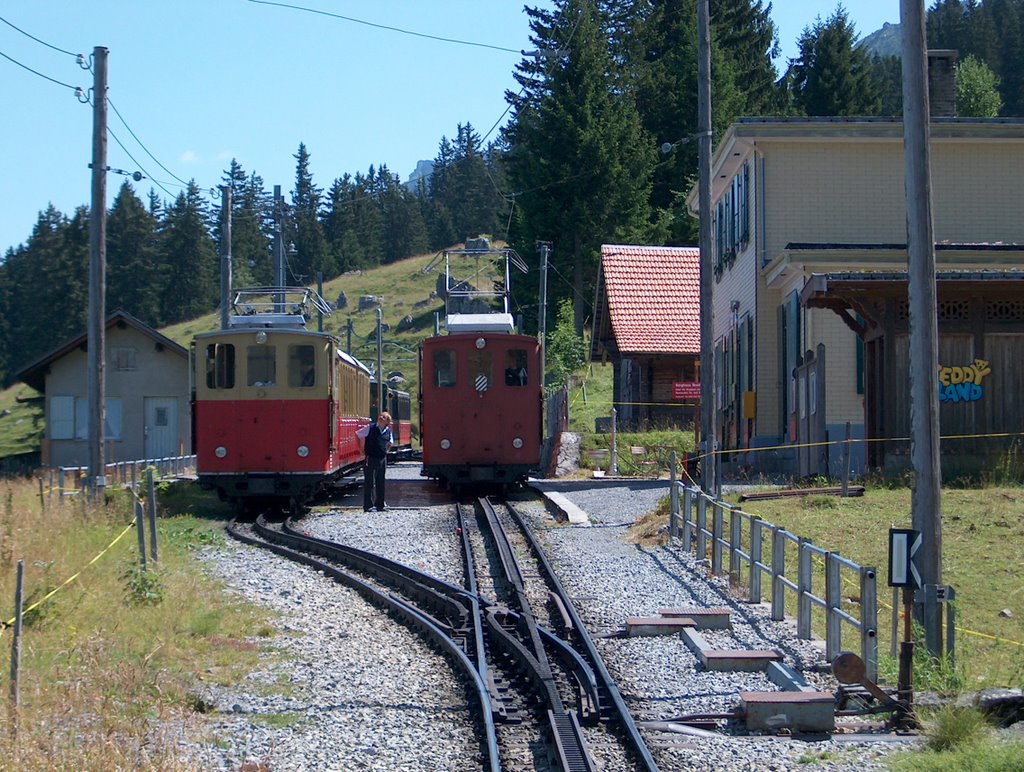 Station Breitlauenen by Mortox