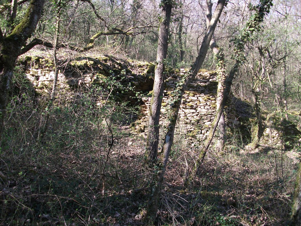 Cabornes a poleymieux au mont d'or by Salomon BARZILAI & Jerome IBY