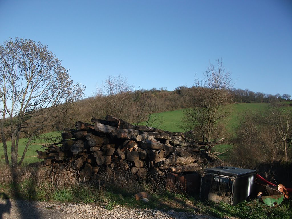 Chemin du chene curis au mont d'or by Salomon BARZILAI & Jerome IBY