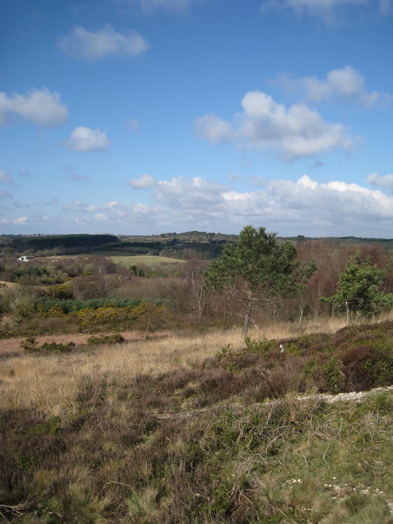 Looking West From The Viewpoint by Chris Fryatt