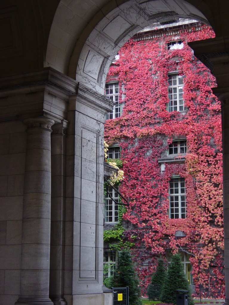 Courtyard on Unter der Linden, Berlin, Germany by SpagBog