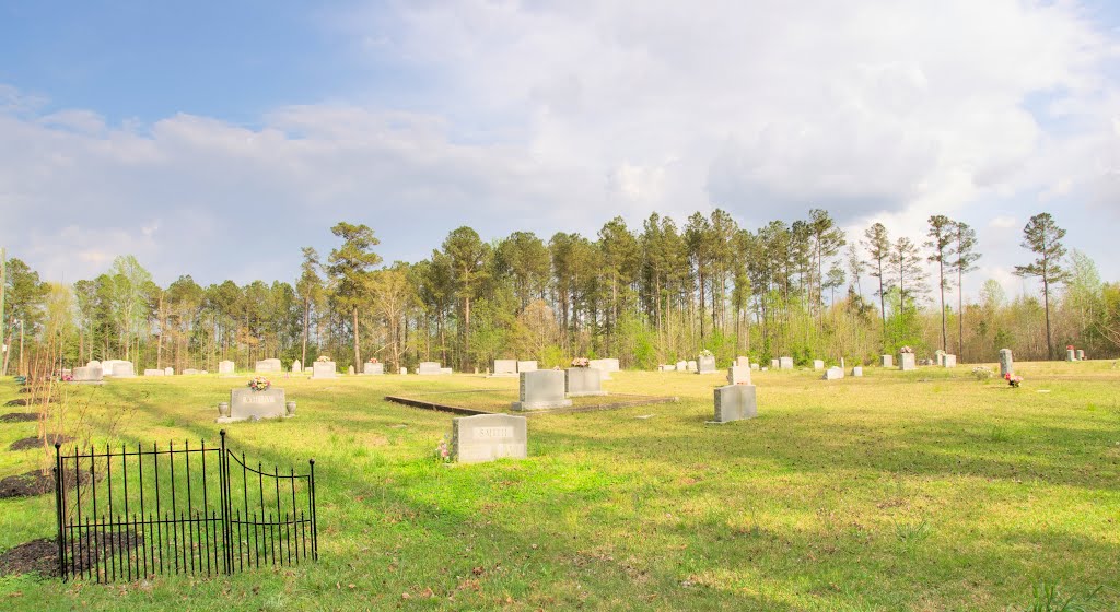 VIRGINIA: SUSSEX COUNTY: YALE: Antioch Baptist Church (1839), 20230 Peters Bridge Road (S.R. 631) cemetery panorama by Douglas W. Reynolds, Jr.