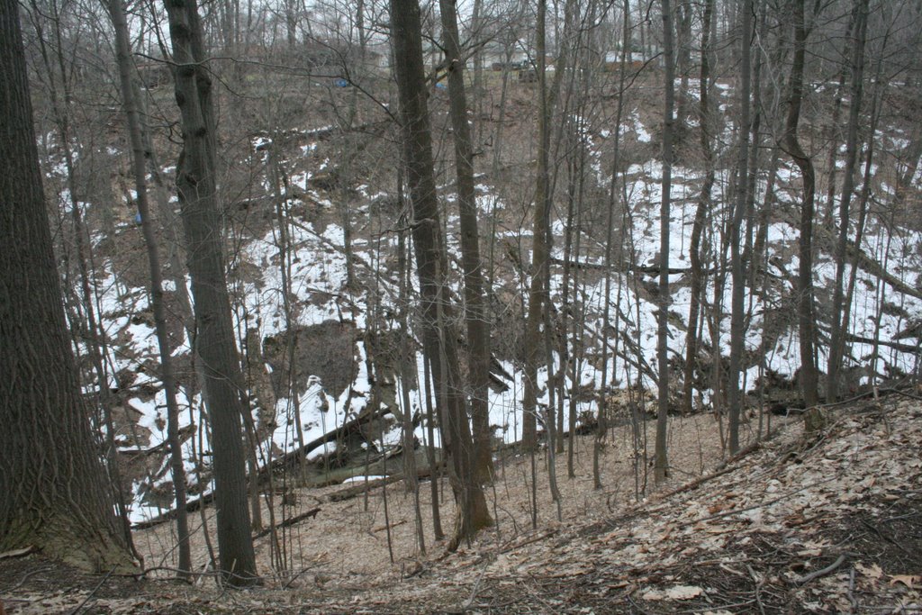 Looking down into valley at Rocky River tributary by sibylkress