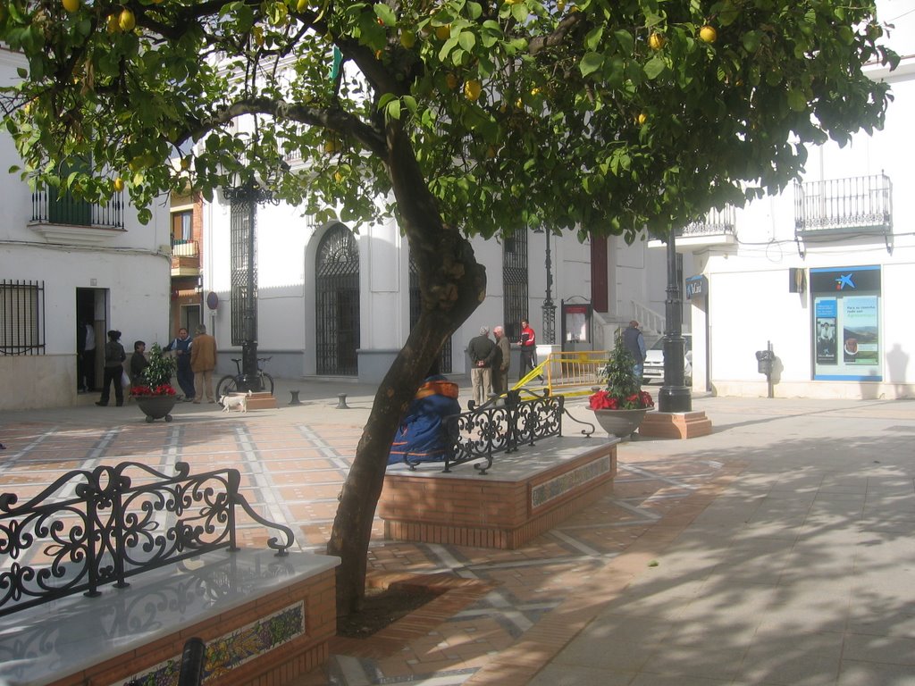 La Plaza by Cristóbal Fdez.