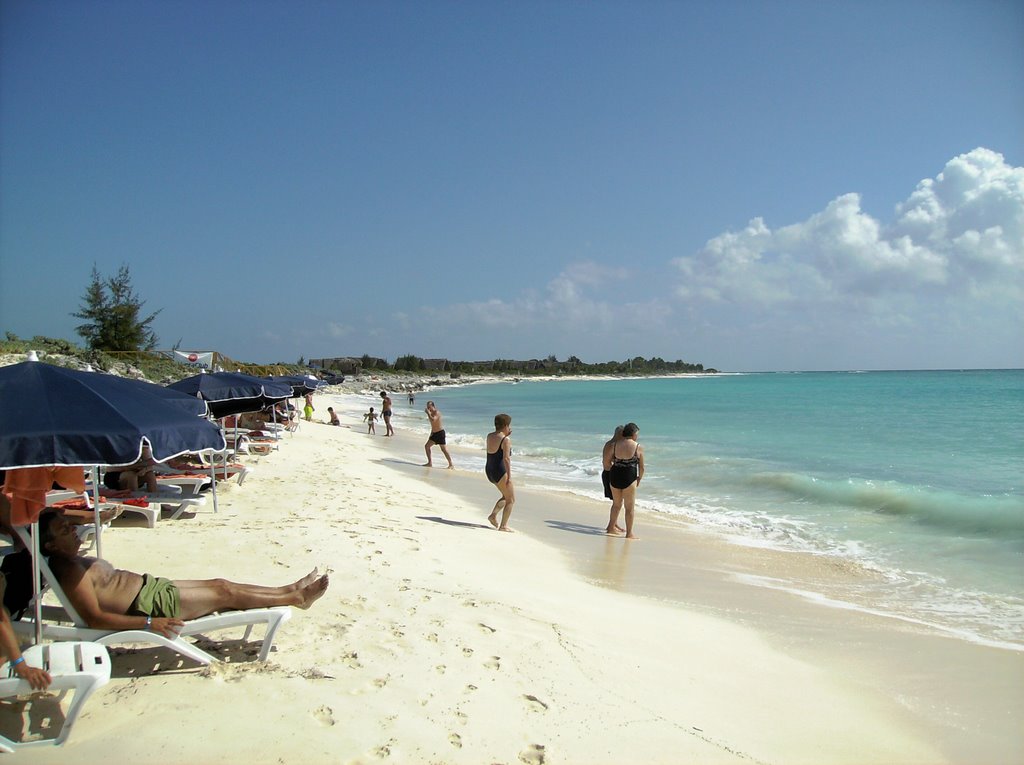 Playa sol pelicano by garfield