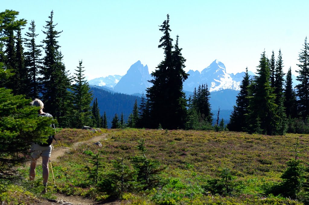 Heather Trail, looking S on Cascades-Peaks: Hozomeen,Mox by ZIPP