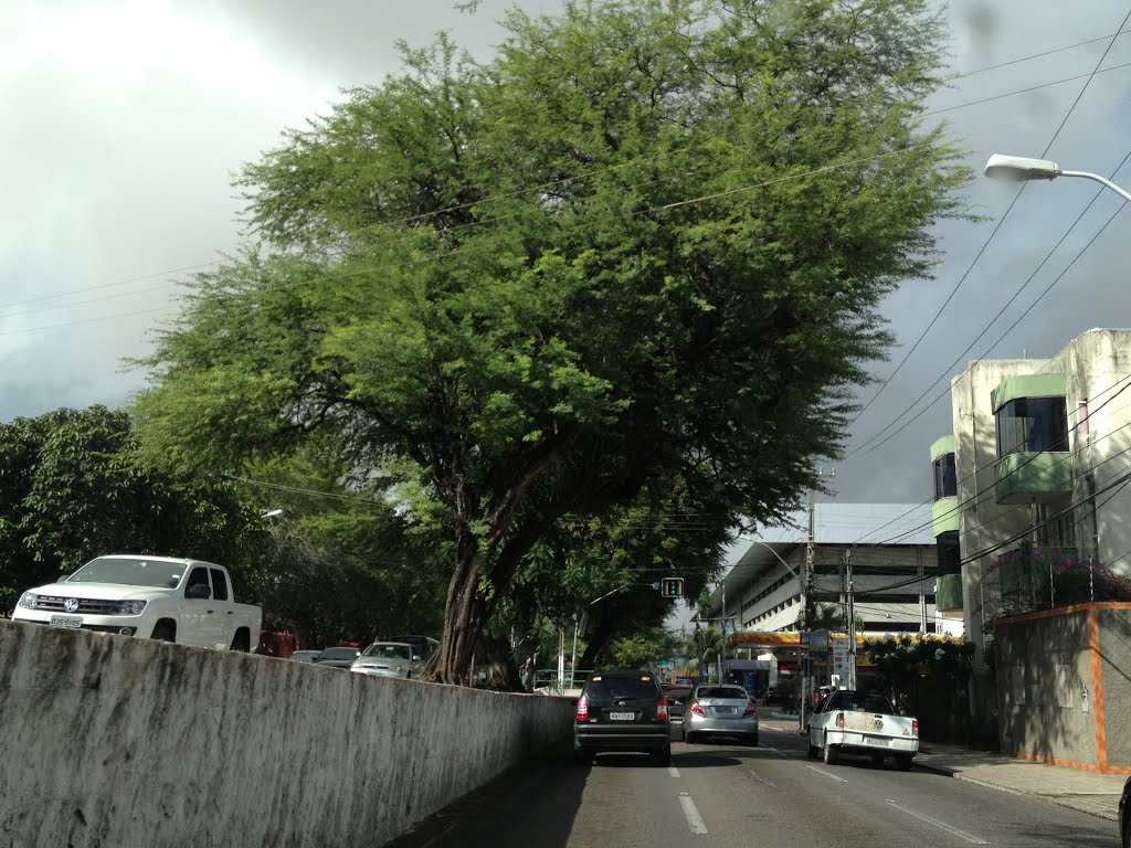 Av. Senador Salgado Filho. by Dedé de Zé Luca