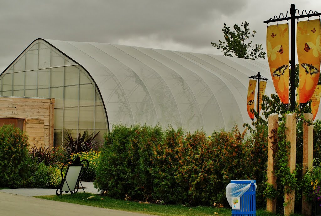 Butterfly Garden, Assiniboine Zoo Winnipeg Manitoba by Shahnoor Habib Munmun