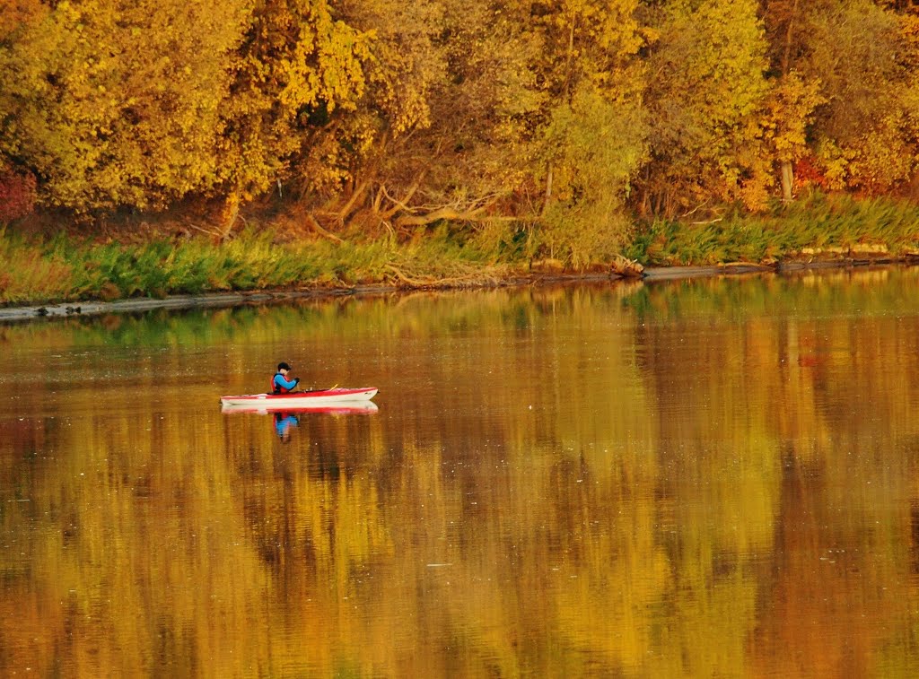 Red River at St Vital Park Fall 2012 Winnipeg Manitoba by Shahnoor Habib Munmun