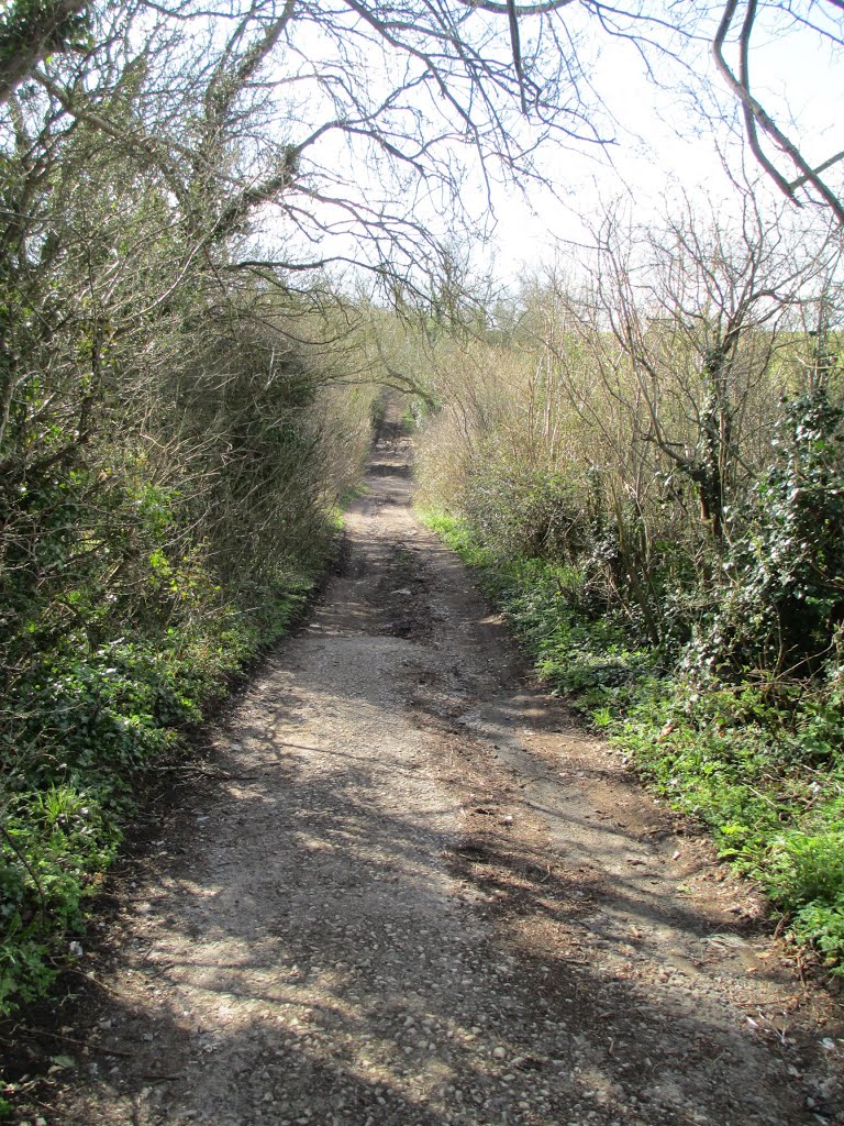 By Way off Combe Hay Lane by Keith Daulby