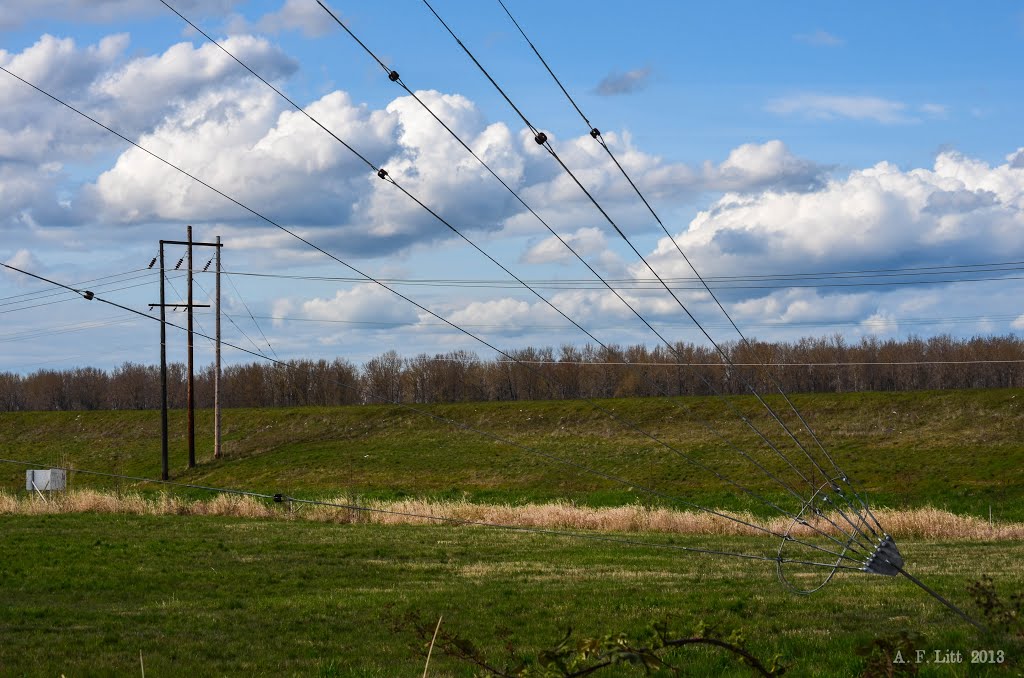 Clouds, Lines, Levee by A. F. Litt