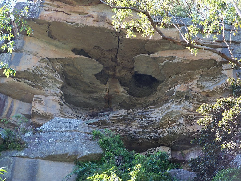 Erosion near the top of rock wall.JPG by Tony FD62