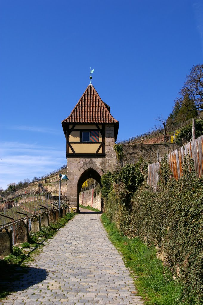 Esslingen, Weinberg, Turm mit Torbogen by Reto Börner