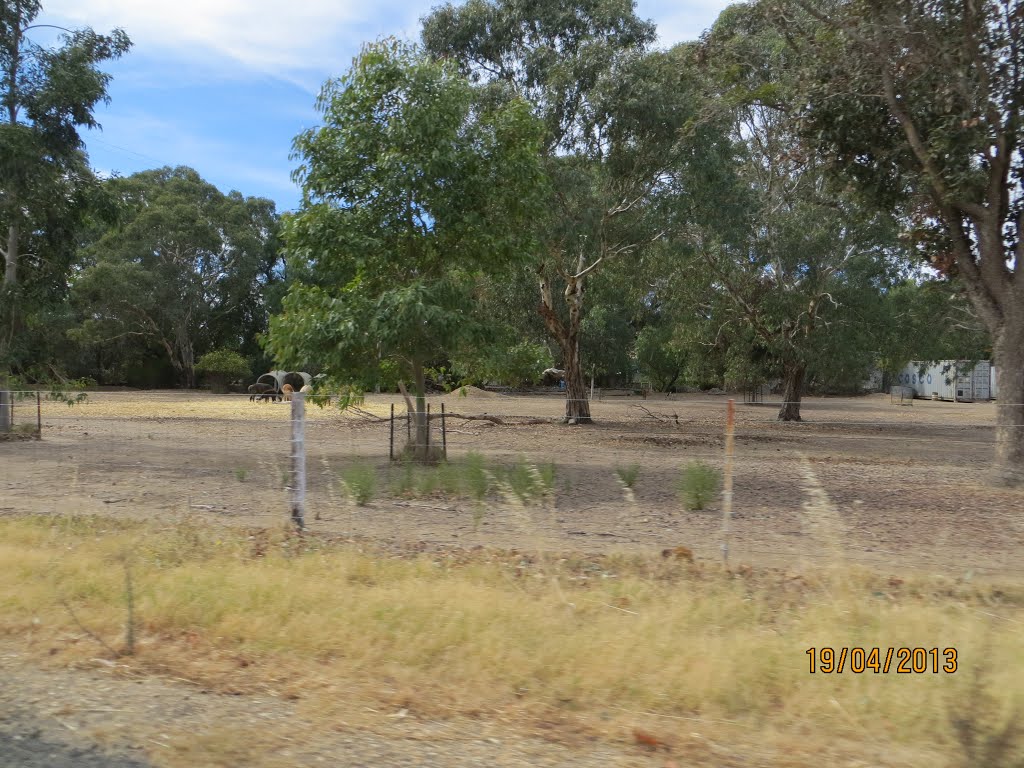 view into private property where some animals are feeding, near LYNDOCH in SA, on 19-04-2013 by Peter John Tate,