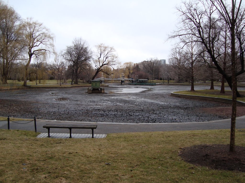 The Public Garden's Pond (Boston, Massachusetts) by DavidJuaquin