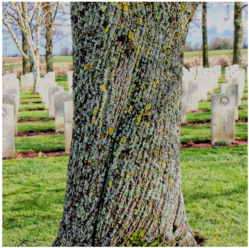 Cimetière militaire by GMV7646