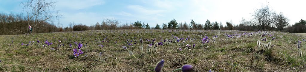 Koniklece panorama by Ondřej Haněl