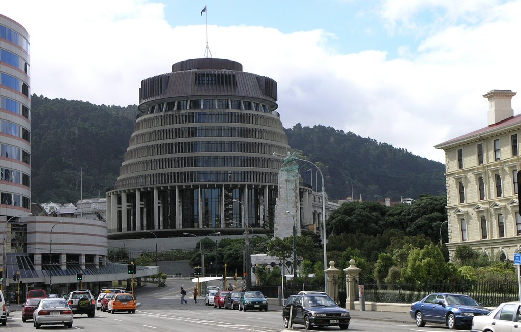 Wellington Parliament by Jan Haas