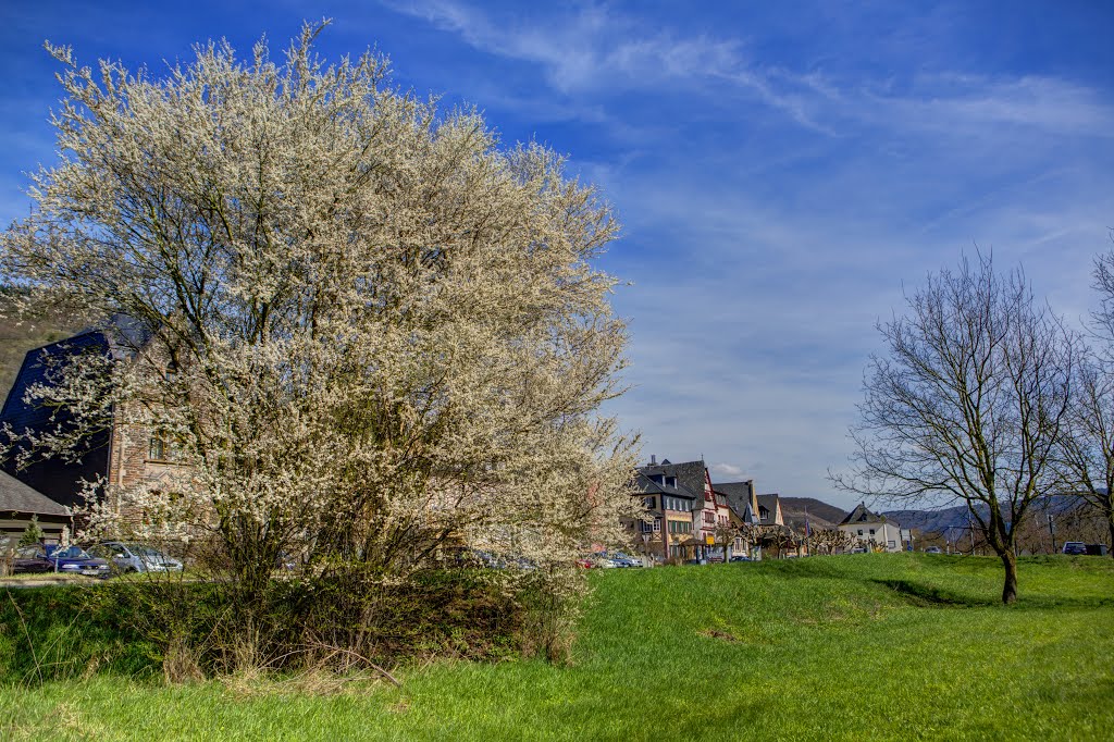 Frühlingsblick in Eller by Heinz Peierl