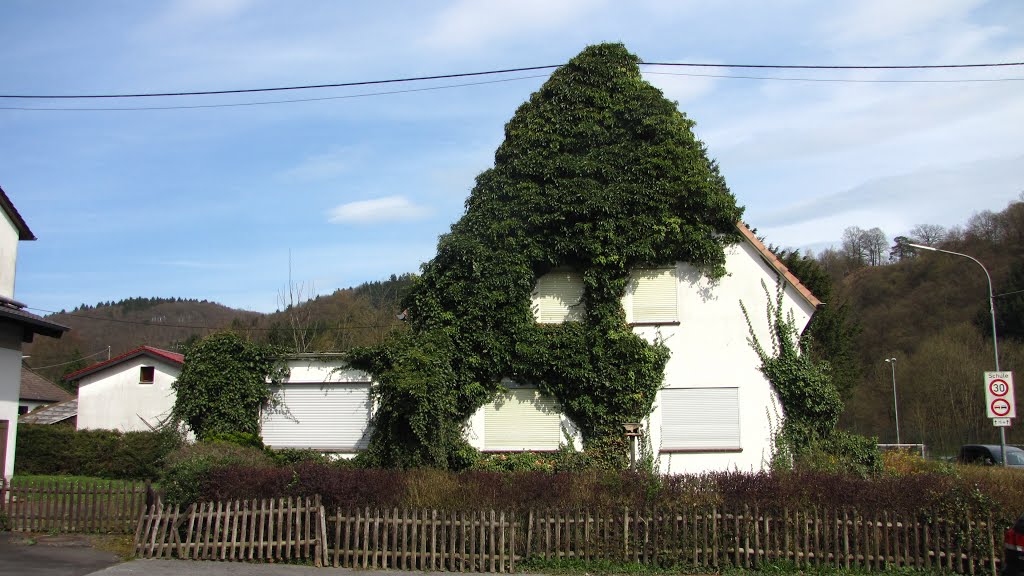 Bewachsenes Haus by Iris & Harry