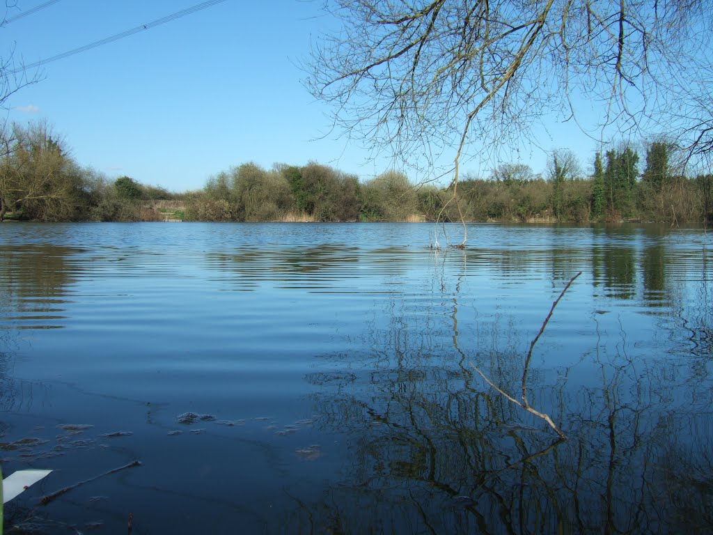 Brackens, Nazeing by Severous