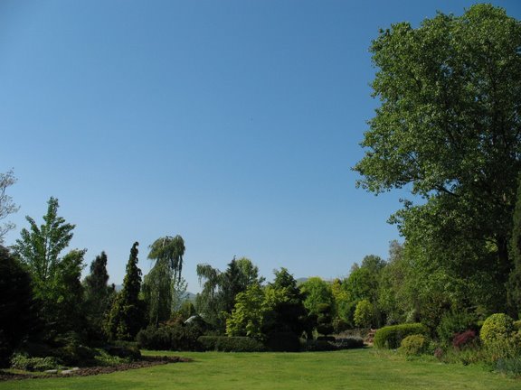 DIFFERENT TREES in Karaca Arboretum by © MİNE SAGUNER