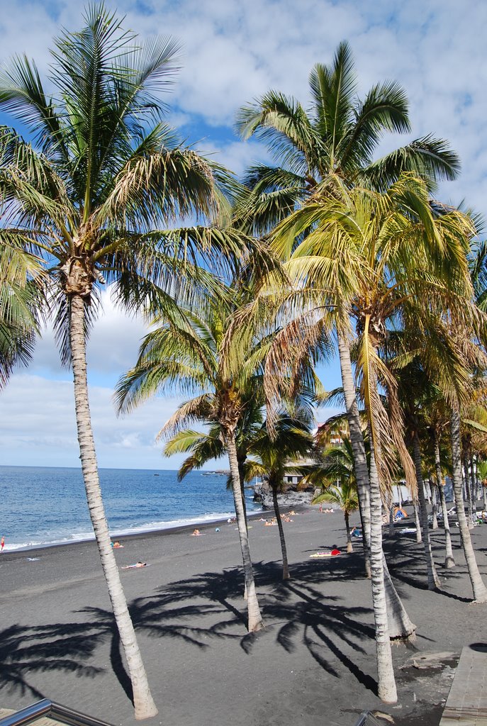 Puerto Naos - Palmenstrand by Dieter Knausenberger